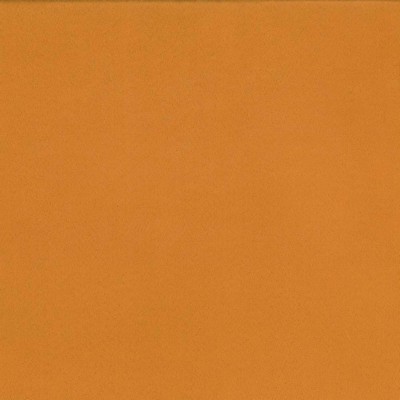 Kasmir OPUS             CARROT          