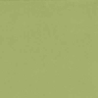 Kasmir OPUS             CELERY          