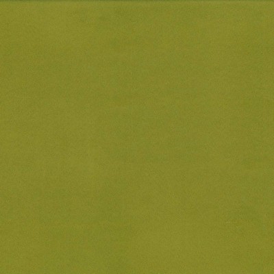 Kasmir OPUS             THYME           