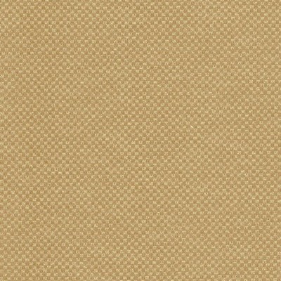 Kasmir PAQUIN           HARVEST         