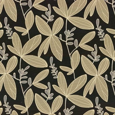 Kasmir PENNINGTON       BLACK           