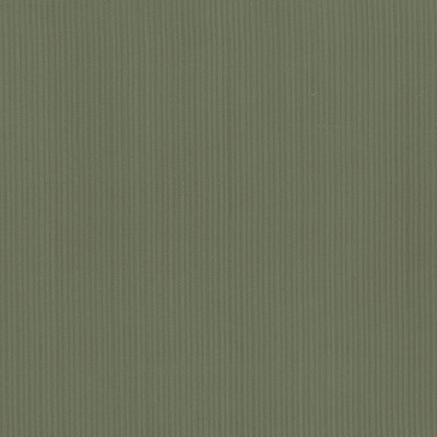 Kasmir PIETRA STRIPE    PINE            