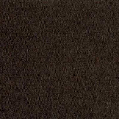 Kasmir PINNACLE         MOCHA           