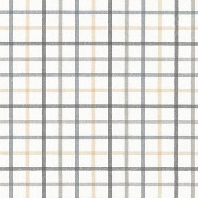 Kasmir PIPER CHECK      SMOKE           