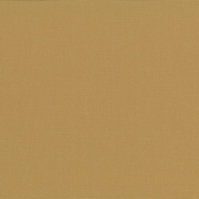 Kasmir PIROUETTE        HONEY           