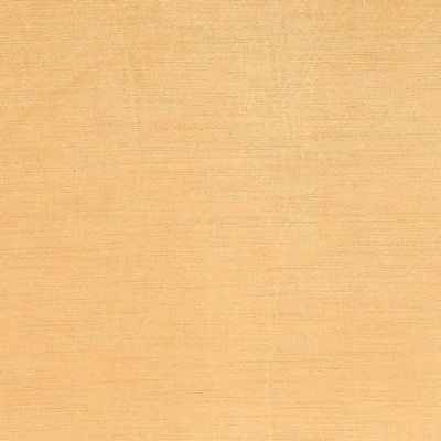 Kasmir PLUSH            ORANGE          