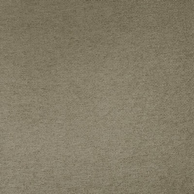 Kasmir PONTE            ASH             