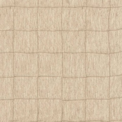 Kasmir POTTER           TUMBLEWEED      