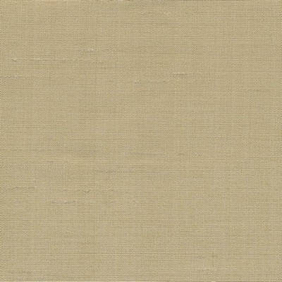 Kasmir PRINCESS         WHEAT           