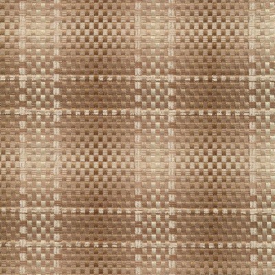 Kasmir RAMBLER          PORCINI         