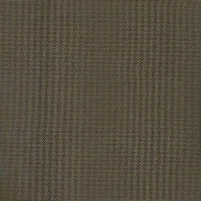 Kasmir REINE            SEPIA           