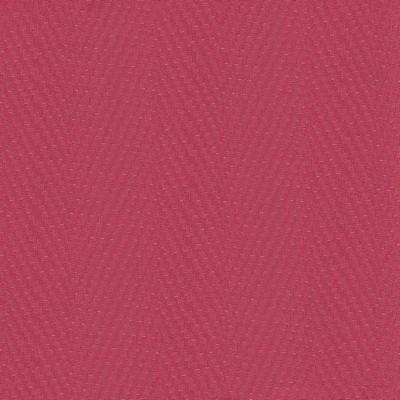 Kasmir RESONATE         LADYBUG         