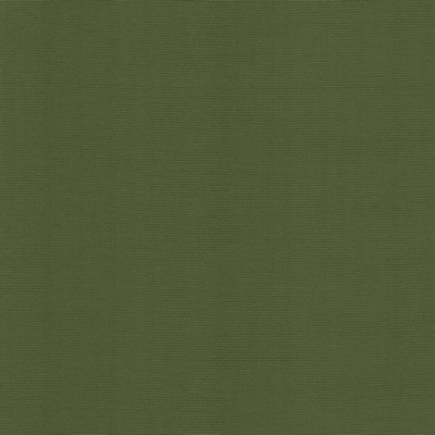 Kasmir RIVAGE           PINE            