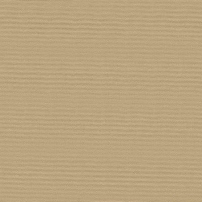 Kasmir RIVAGE           WHEAT           