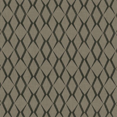 Kasmir RYLAND TRELLIS   THUNDER         