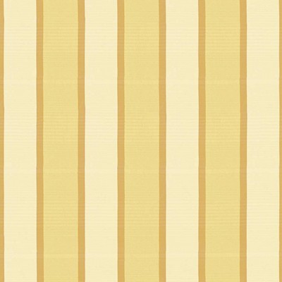 Kasmir SANDINO STRIPE   CHAMPAGNE       