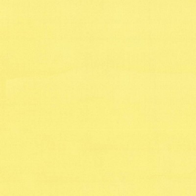 Kasmir SAVVY            CANARY          