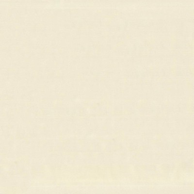 Kasmir SAVVY            PARCHMENT       