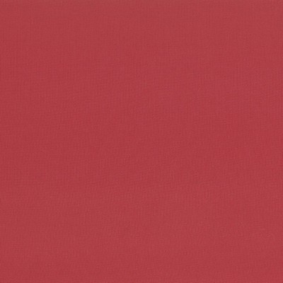 Kasmir SEDUCTIVE        BITTERSWEET     