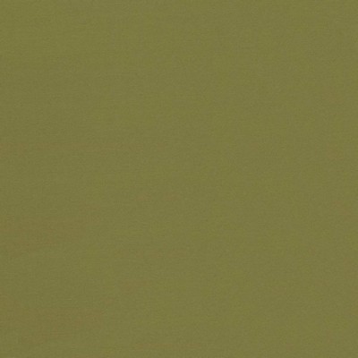 Kasmir SEDUCTIVE        CEDAR           