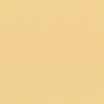 Kasmir SEDUCTIVE        HONEY           