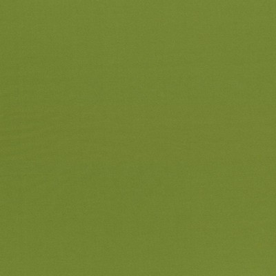 Kasmir SEDUCTIVE        OLIVE           