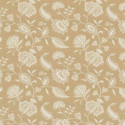 Kasmir SERLIANA         MUSHROOM        