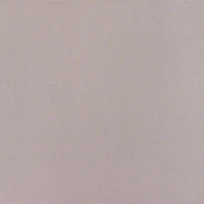 Kasmir SH330            GRAPE           