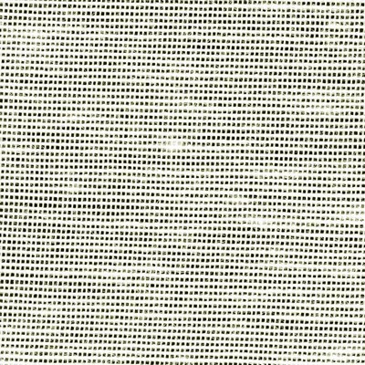 Kasmir SH365            BONE            