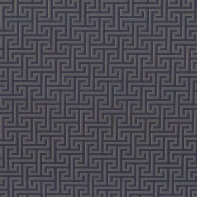 Kasmir SHANDONG         COBALT          