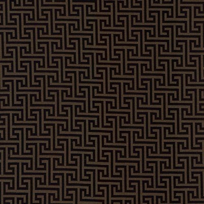 Kasmir SHANDONG         ESPRESSO        