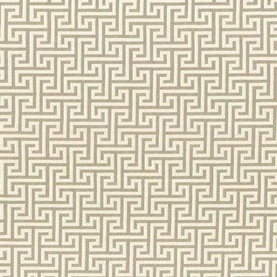 Kasmir SHANDONG         SAND            