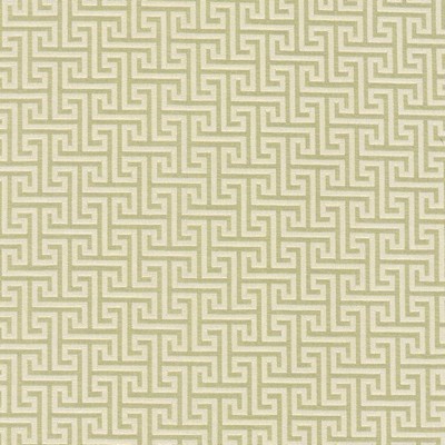 Kasmir SHANDONG         STEM            