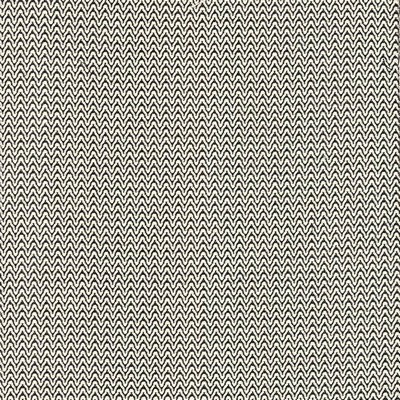 Kasmir SIMMER           DOMINO          