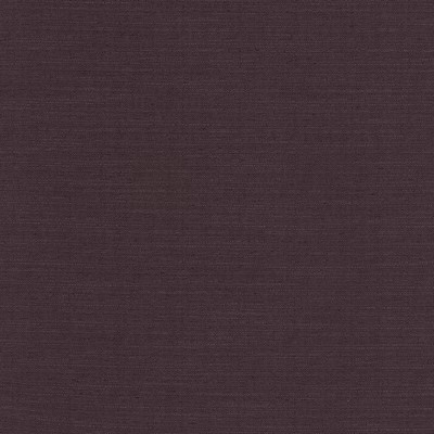 Kasmir SOTTO            EGGPLANT        