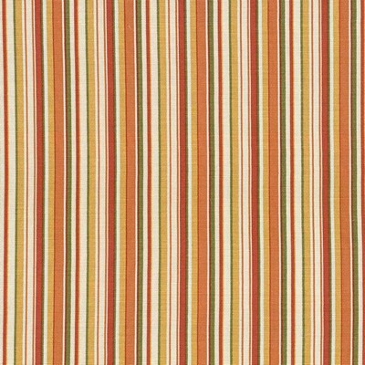 SPRING STRIPE APRICOT Kasmir SPRING STRIPE APRICOT
