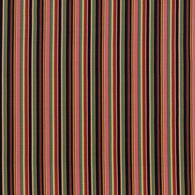 Kasmir SPRING STRIPE    MIDNIGHT DREAM  