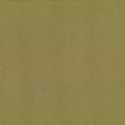 Kasmir ST DUPONT        OLIVE           