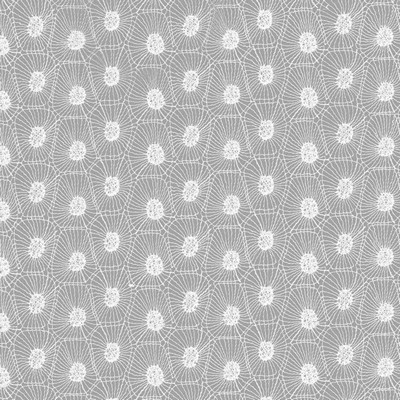 Kasmir STRATAGEMS       WHITE           