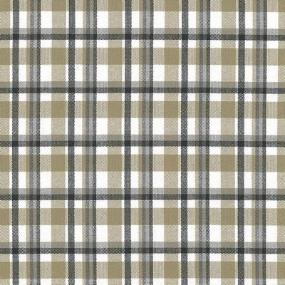 Kasmir TAMRON PLAID     SANDSTONE       