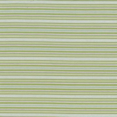 Kasmir TATIANA STRIPE   ASPEN           