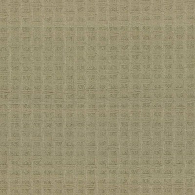 Kasmir THATCH           SAGE            