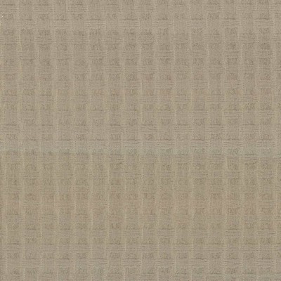 Kasmir THATCH           TAUPE           