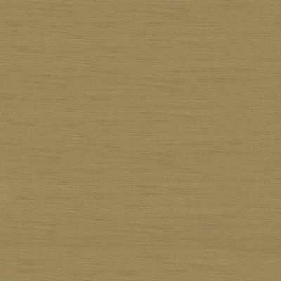 Kasmir TIMELESS         BURNISHED GOLD  