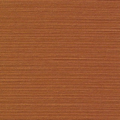 Kasmir TUDOR            PECAN           