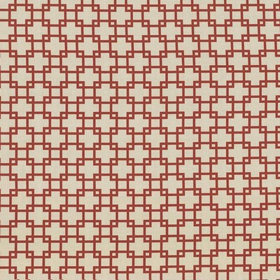 Kasmir TUNECHI          KOI             