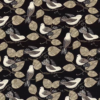 Kasmir TWITTER          BLACK           