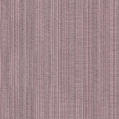 Kasmir VANDA            LILAC           