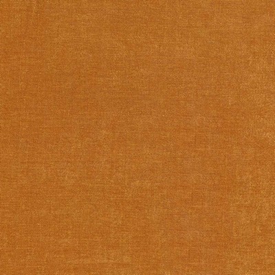 Kasmir VESTIGE          CARROT          