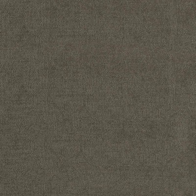 Kasmir VESTIGE          GRAPHITE        